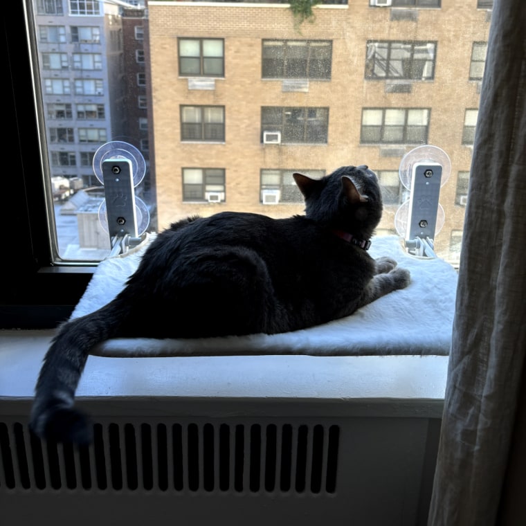 A cat sitting on the Amosijoy Foldable Cat Window Hammock (left), and it folded flat against a window (right).