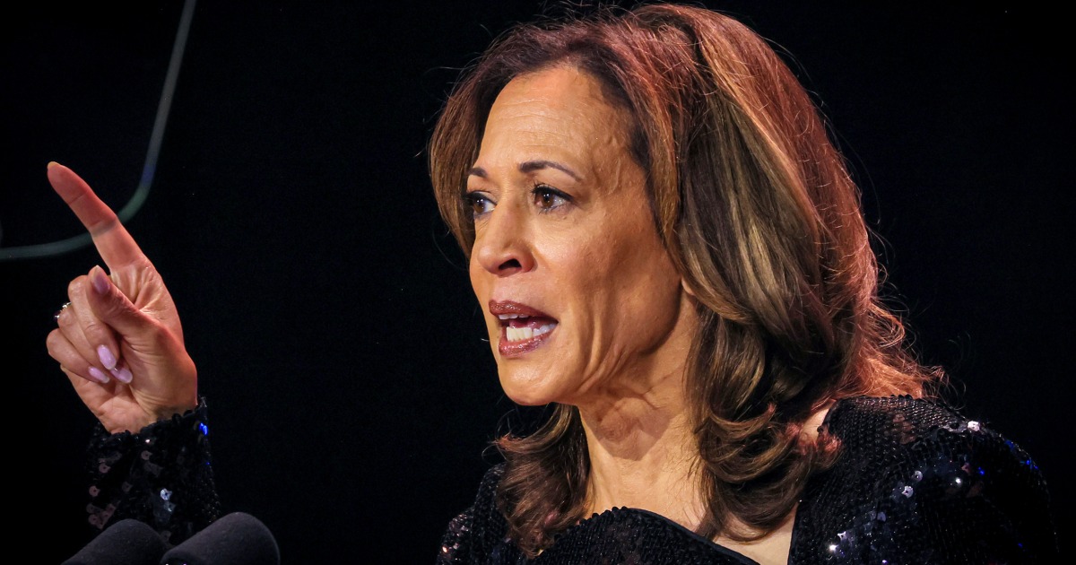 Black swing-state voters overwhelmingly back Harris — with key divides on age and gender, Howard poll shows