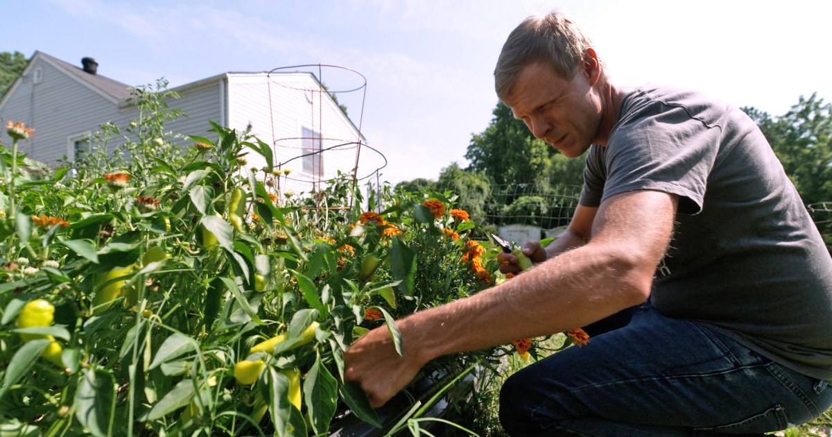 Evangelical environmentalists push for climate votes as election nears