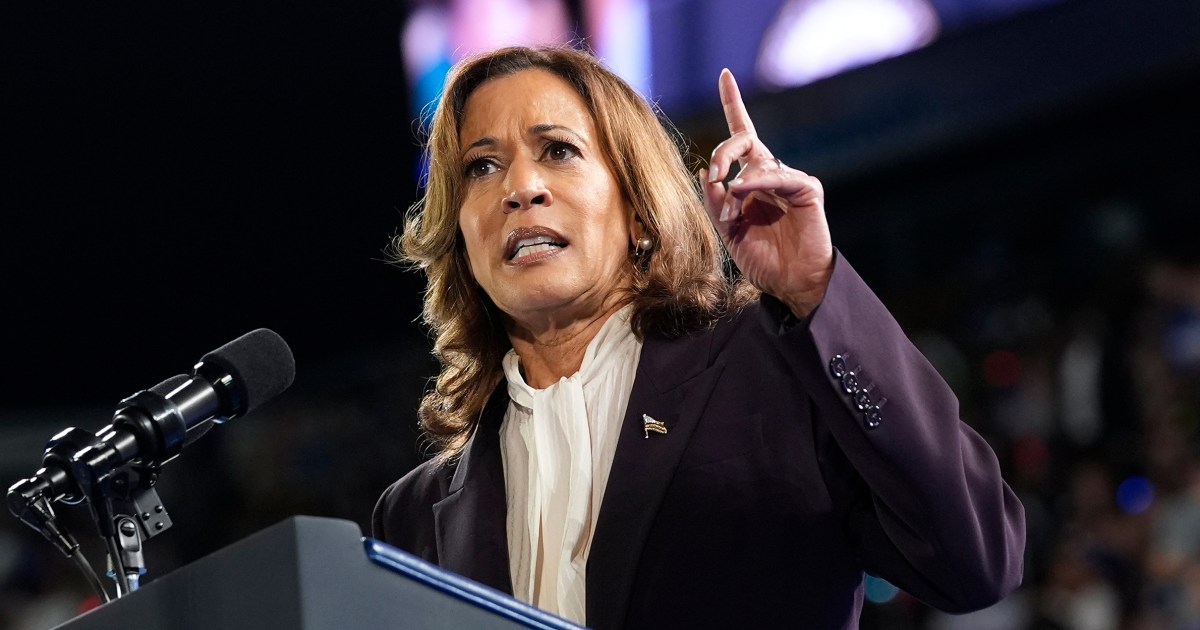 Kamala Harris rallies with Beyoncé and Willie Nelson in Texas