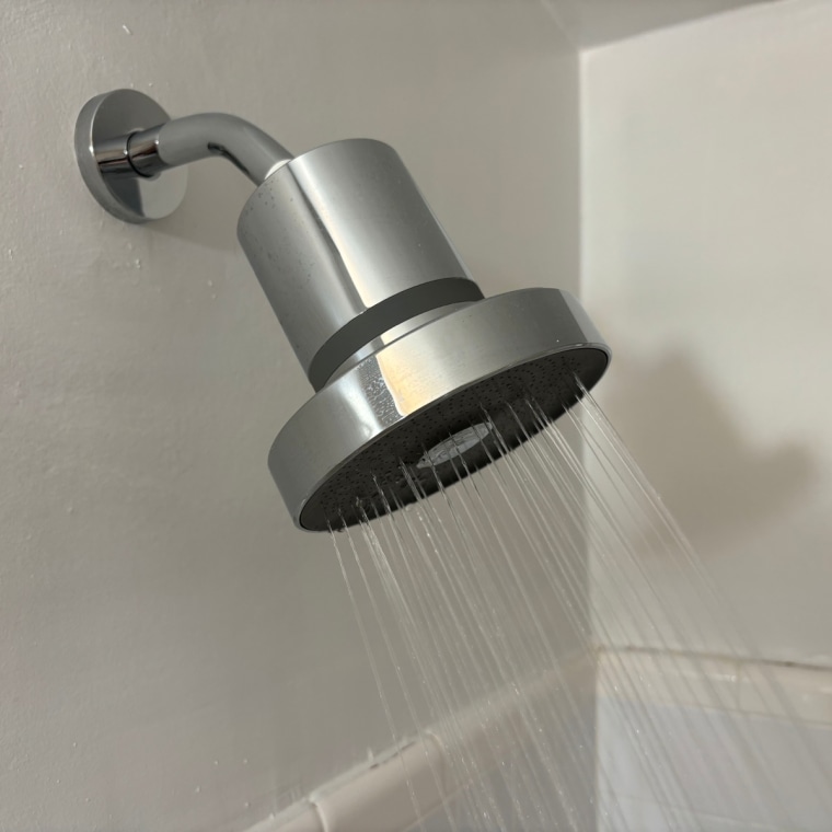 A chrome Jolie Filtered Showerhead installed in a bathroom.