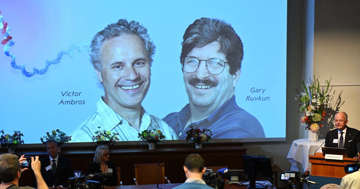 Americans win Nobel Prize for Medicine for pioneering gene discovery of microRNA