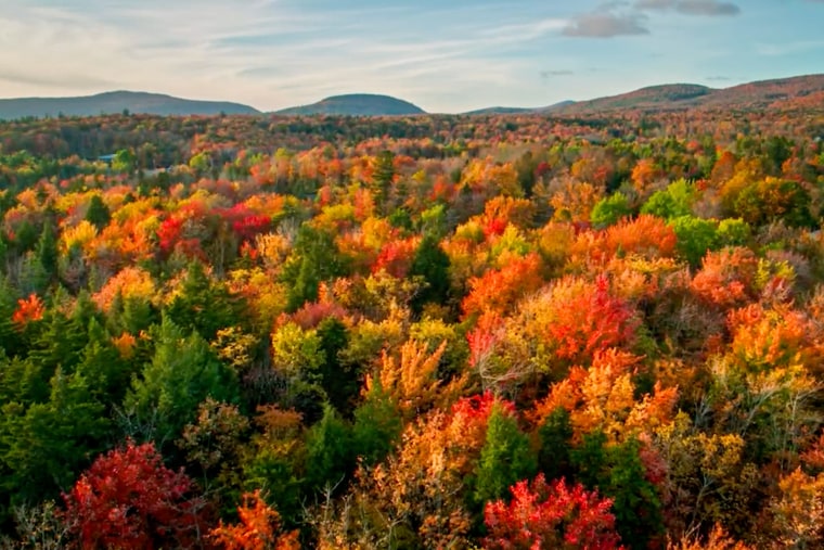 Virginia State Park.