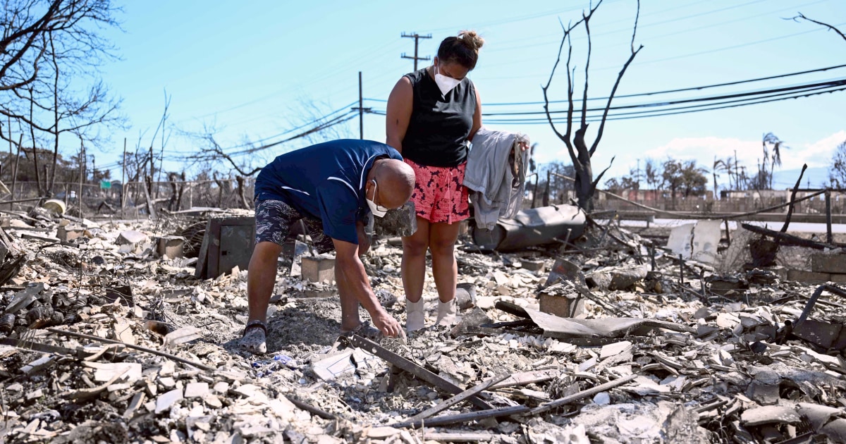 Deadly Maui wildfire was sparked by downed power lines, investigation finds