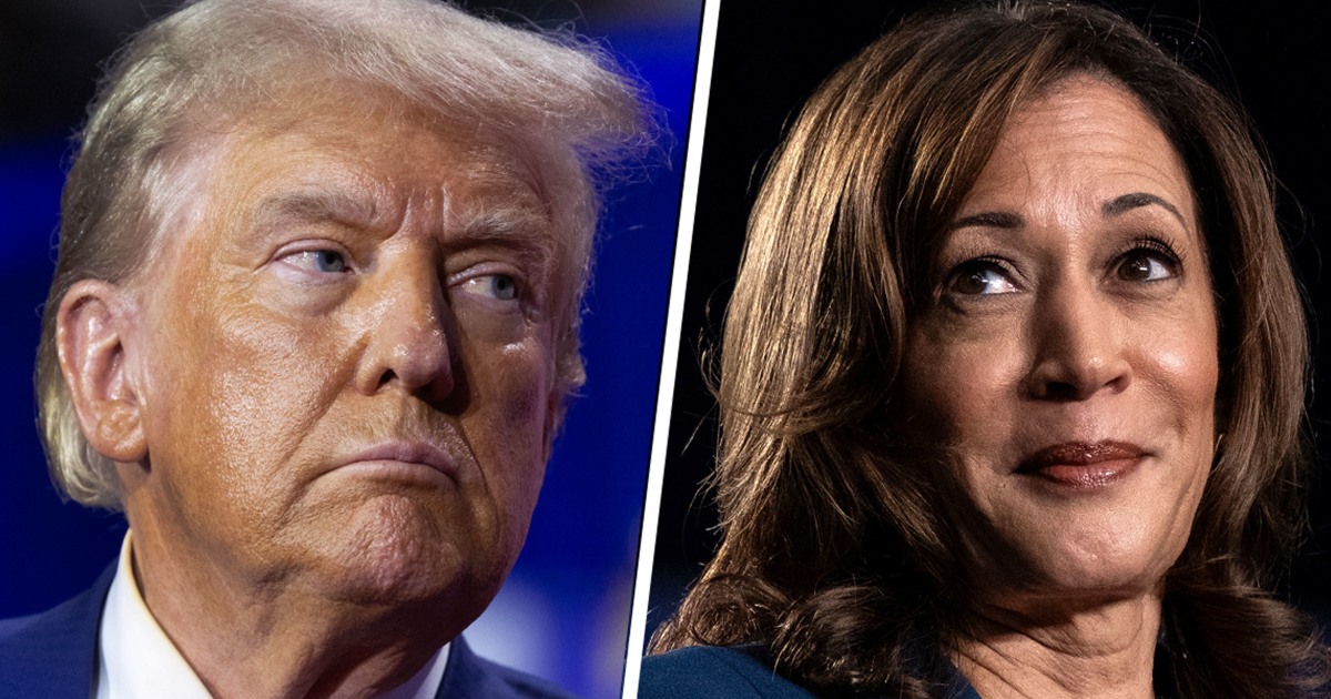 Election 2024 live updates: Trump rallies in Atlanta while Harris interviews in Detroit