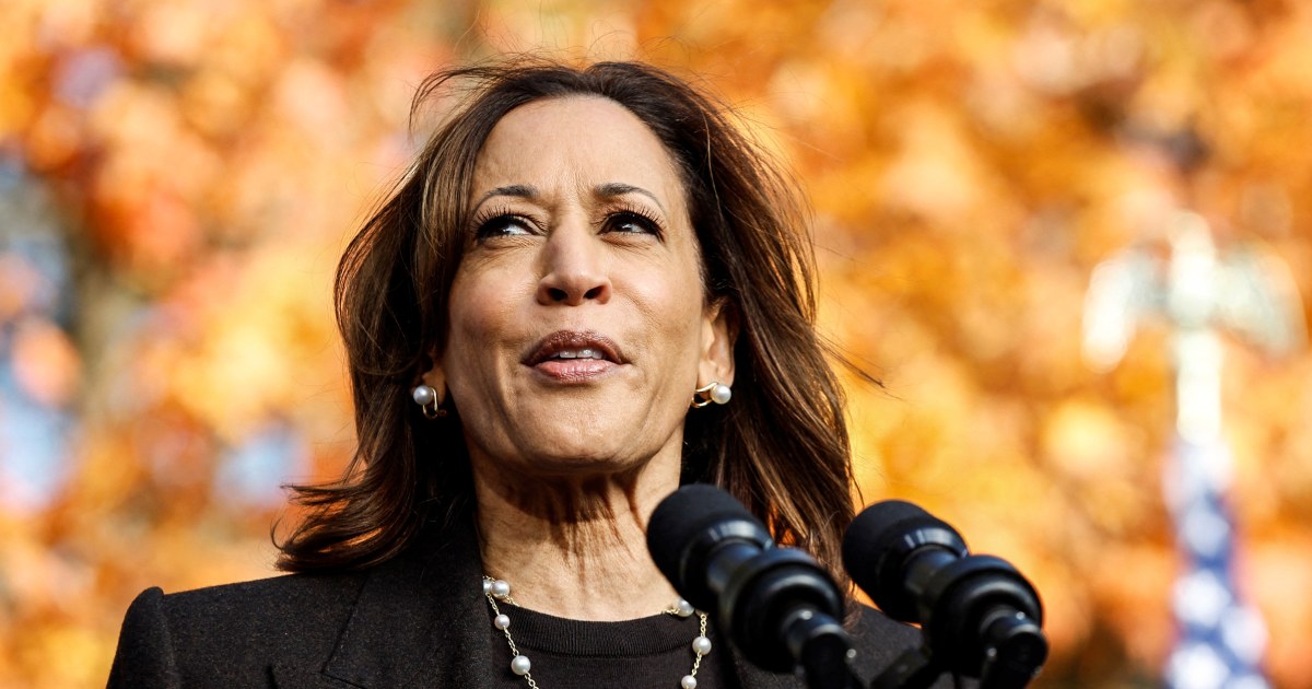 Harris says Trump is 'increasingly unhinged' and blasts his reported praise of Hitler as 'troubling' and 'dangerous'