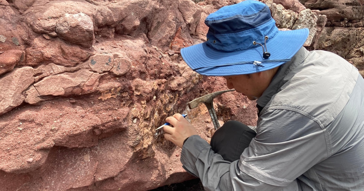 Hong Kong discovers dinosaur fossils for the first time