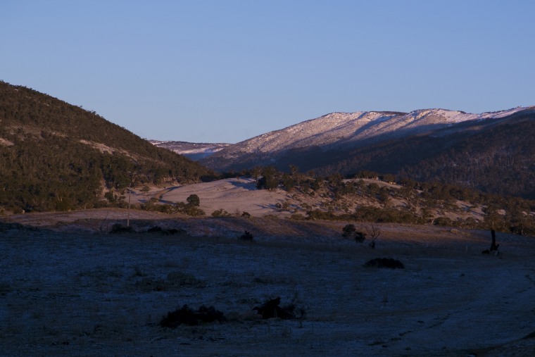 Woman 'lucky to be alive' after surviving snake bite and two weeks in wilderness
