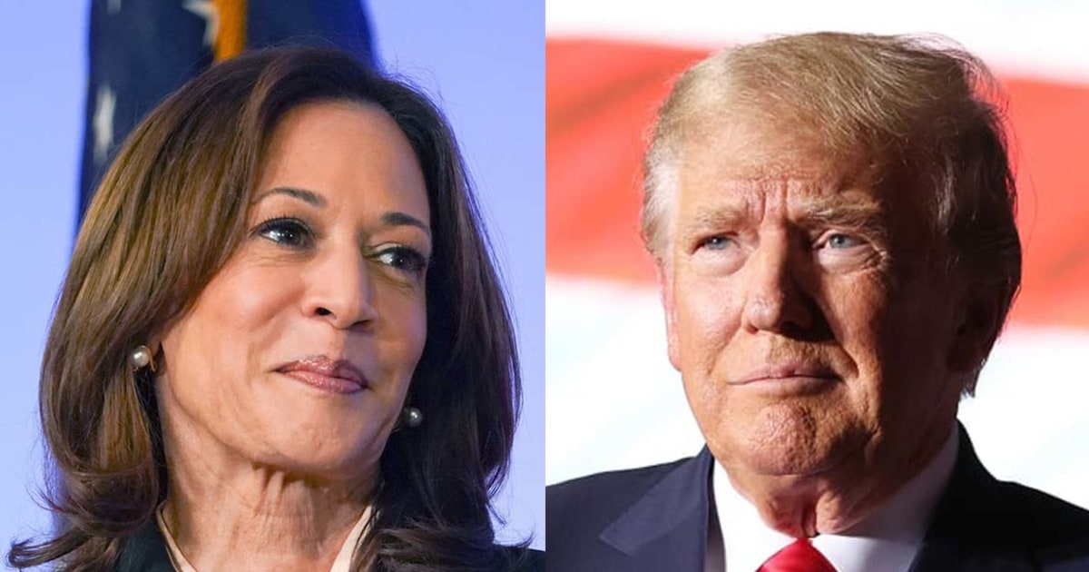 New poll shows Trump and Harris neck-and-neck nationally and in battlegrounds